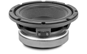 8P300Fe/N, 8″ Pro Ferrit Tief-Mitteltöner mit 600 W, 8 Ohm