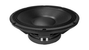 HAUT-PARLEUR 15″“P1000/FE 8 OH